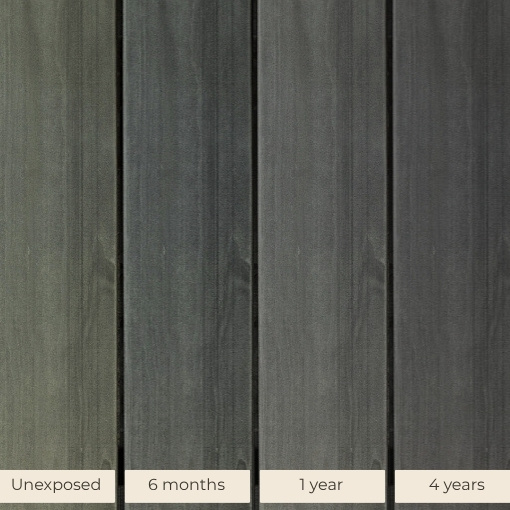Sample of Accoya Color Grey weathered over 4 years.